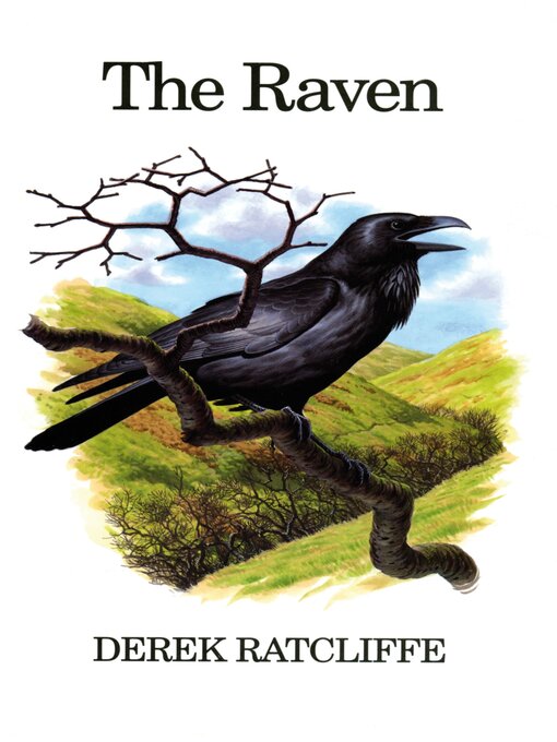 The Raven (eBook)